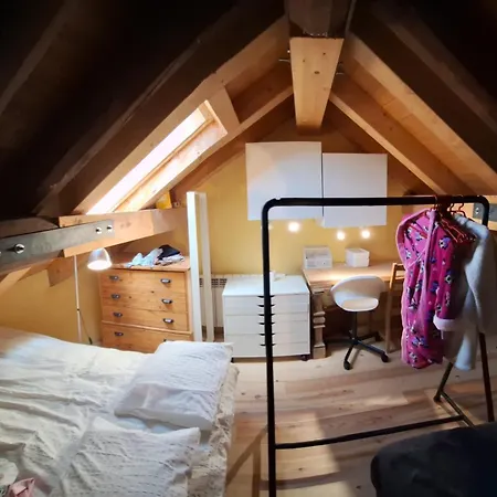 Casa Guardafuentes De Ordesa ,casa Del Guardes